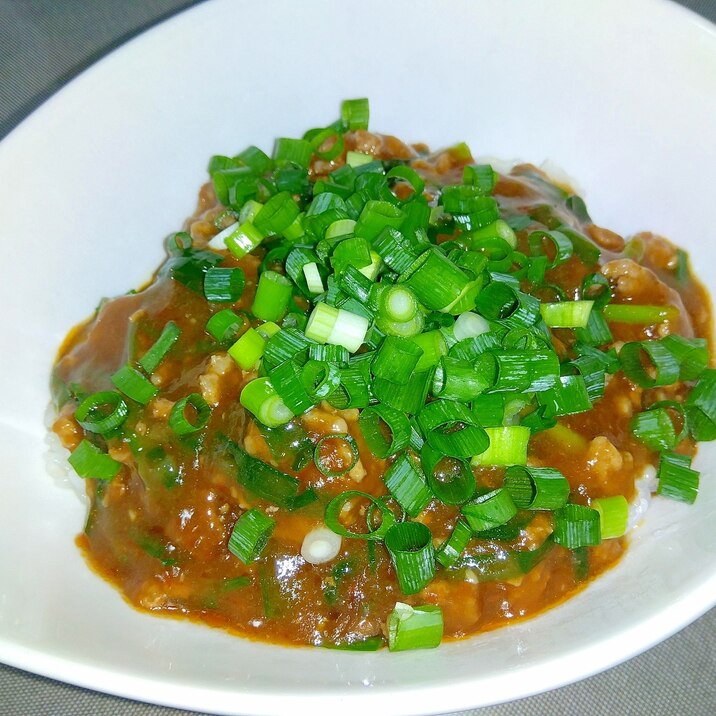 ねぎ乗せあんかけ丼++